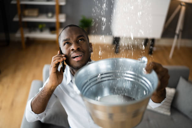 Best Water damage cleanup near me  in Rockwood, TN