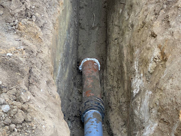 Best Sewage cleanup and water damage restoration  in Rockwood, TN