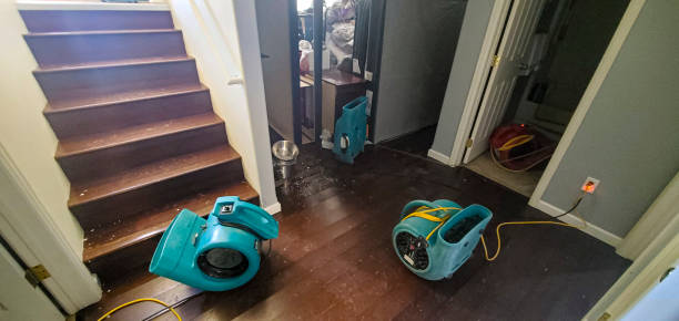 Best Emergency water damage restoration  in Rockwood, TN