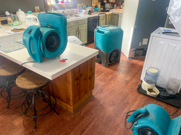 Best Water damage restoration cost  in Rockwood, TN