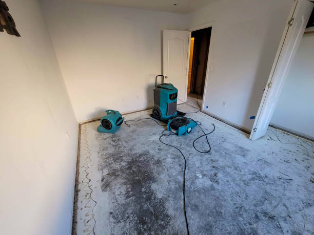 Best Flood damage cleanup  in Rockwood, TN