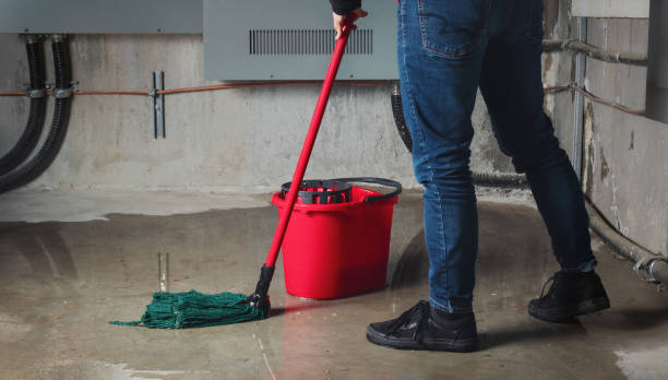 Best 24-hour water damage restoration  in Rockwood, TN