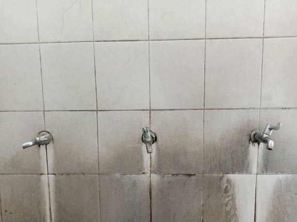 Best Commercial water damage restoration  in Rockwood, TN