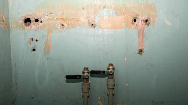 Best Carpet water damage restoration  in Rockwood, TN