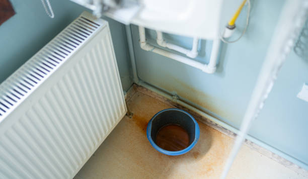 Best Local water damage restoration  in Rockwood, TN