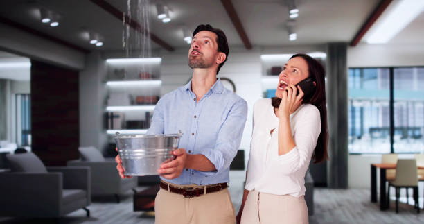 Best Ceiling water damage repair  in Rockwood, TN